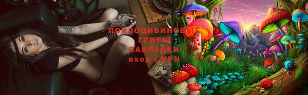 кокс Абинск