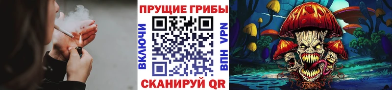 где найти наркотики kraken зеркало Псилоцибиновые грибы Psilocybine cubensis darknet наркотические препараты Яхрома
